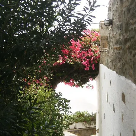 Artemis Apartments Tinos Room photo